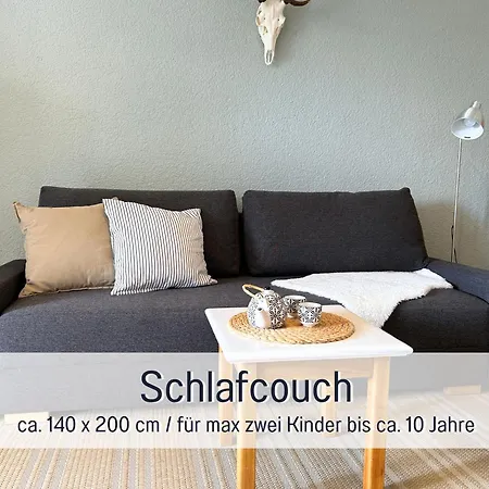 Apartment Schwarzwaldnacht Mit Sauna Im Haus Ideal Zum Wandern Und Biken Balkon Tiefgarage E-ladestation Todtnauberg