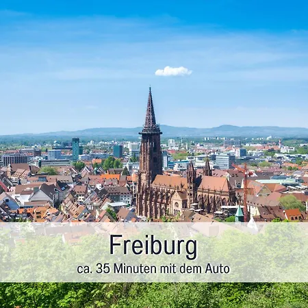 Schwarzwaldnacht Mit Sauna Im Haus Ideal Zum Wandern Und Biken Balkon Tiefgarage E-ladestation Apartment *