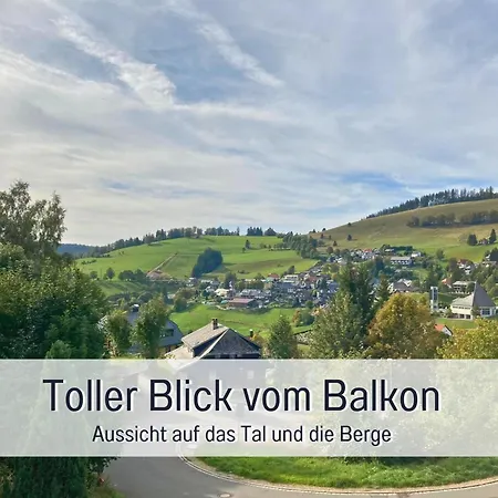 Schwarzwaldnacht Mit Sauna Im Haus Ideal Zum Wandern Und Biken Balkon Tiefgarage E-ladestation