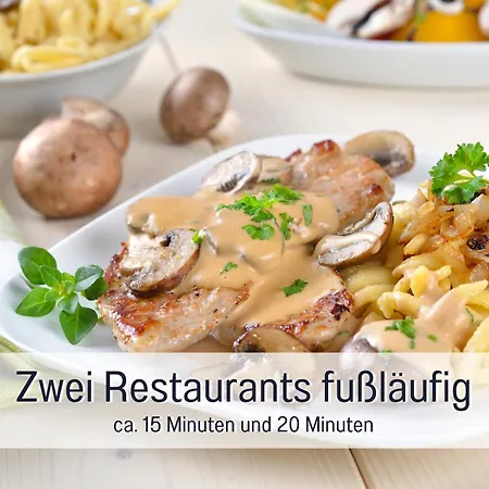 Schwarzwaldnacht Mit Sauna Im Haus Ideal Zum Wandern Und Biken Balkon Tiefgarage E-ladestation * Todtnauberg